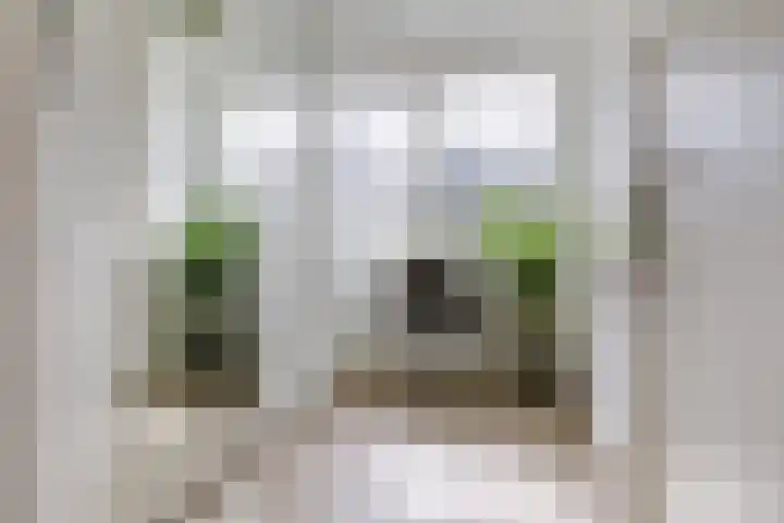 Kalorama 128 Hoofddorp thumbnail 16