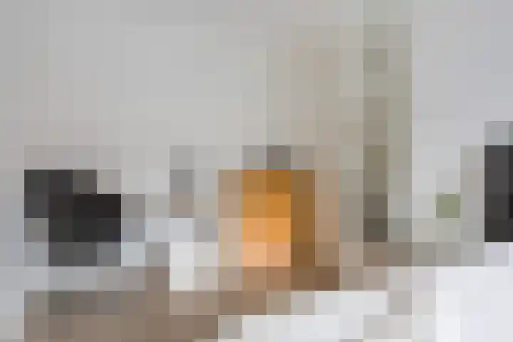 Kalorama 128 Hoofddorp thumbnail 19