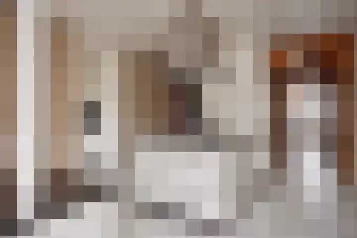 Kalverstraat 19 Made thumbnail 13