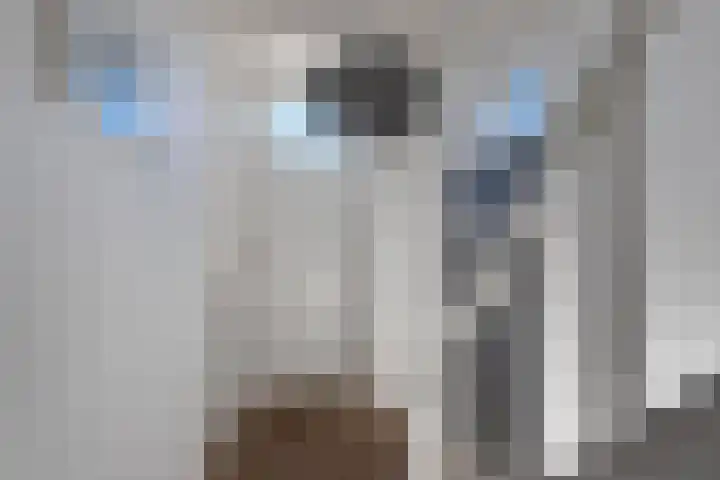 Kalverstraat 5 Hindeloopen thumbnail 10