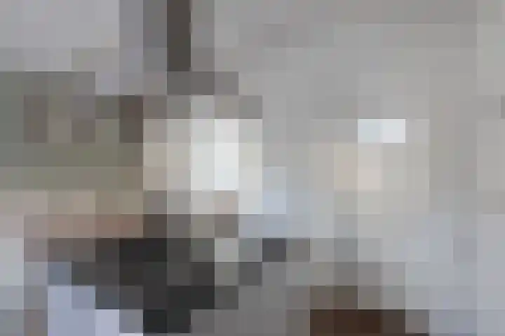 Kalverstraat 5 Hindeloopen thumbnail 20