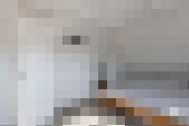Kalverstraat 5 Hindeloopen thumbnail 32