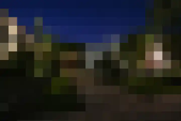 Kamelenburg 46 Barendrecht thumbnail 18
