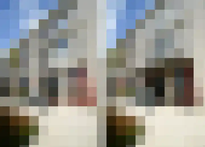 Kamelenburg 46 Barendrecht thumbnail 7