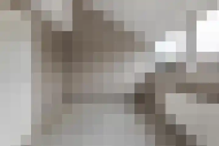 Kamelenspoor 152 Maarssen thumbnail 12