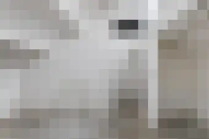 Kamelenspoor 152 Maarssen thumbnail 22