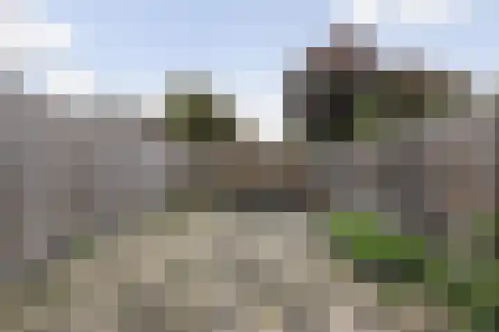 Kamelenspoor 152 Maarssen thumbnail 25