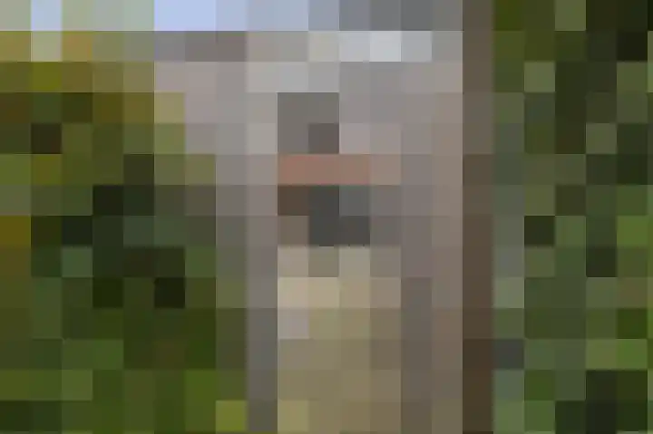 Kamelenspoor 152 Maarssen thumbnail 27