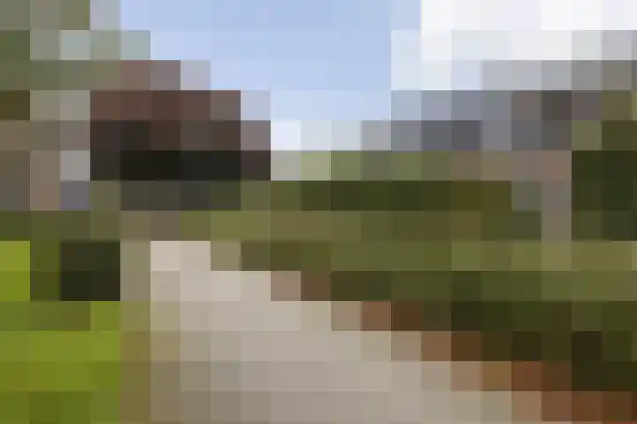 Kamelenspoor 152 Maarssen thumbnail 30