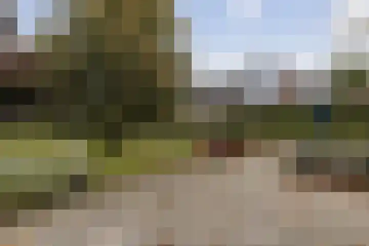 Kamelenspoor 152 Maarssen thumbnail 31