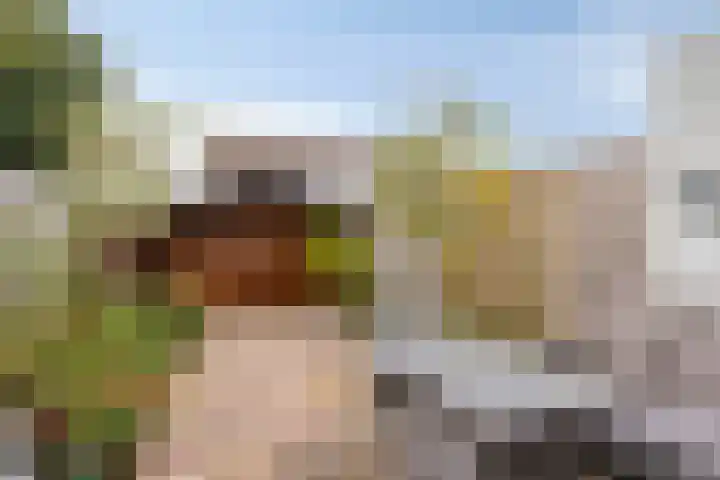 Kamelenspoor 194 Maarssen thumbnail 21