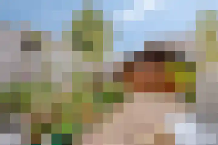 Kamelenspoor 194 Maarssen thumbnail 22
