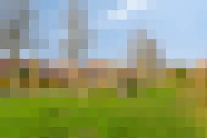 Kamelenspoor 194 Maarssen thumbnail 28