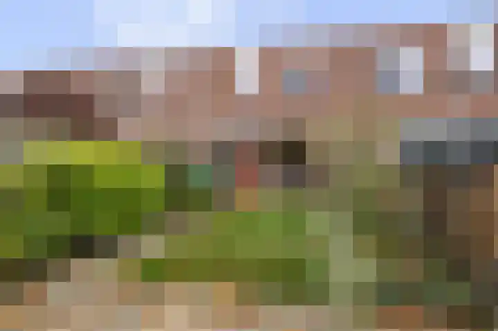 Kamelenspoor 234 Maarssen thumbnail 10