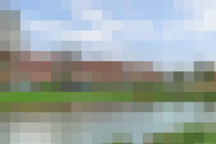 Kamelenspoor 234 Maarssen thumbnail 11