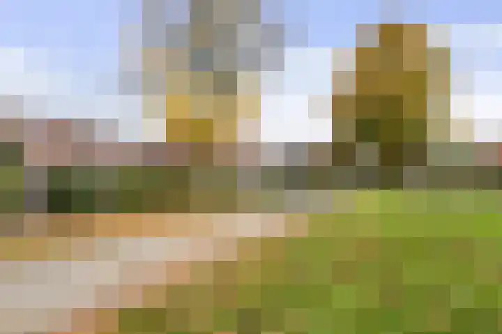 Kamelenspoor 234 Maarssen thumbnail 29