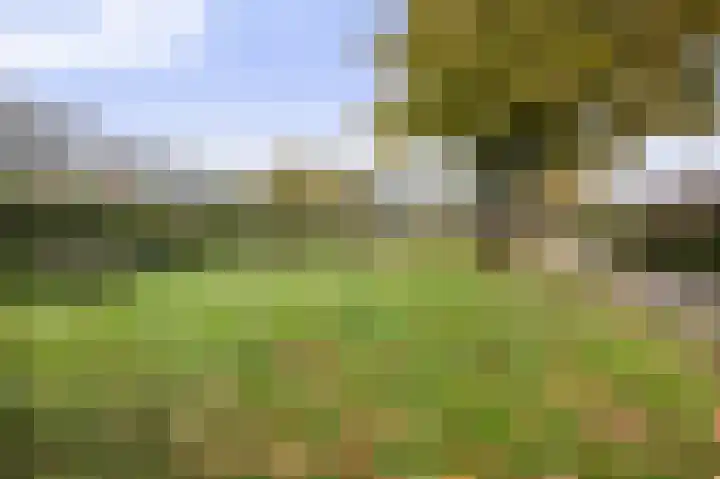 Kamelenspoor 234 Maarssen thumbnail 30