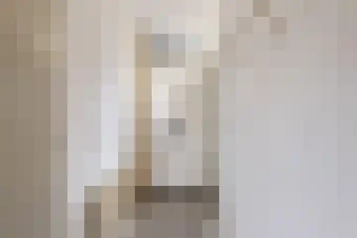 Kamelenspoor 234 Maarssen thumbnail 4