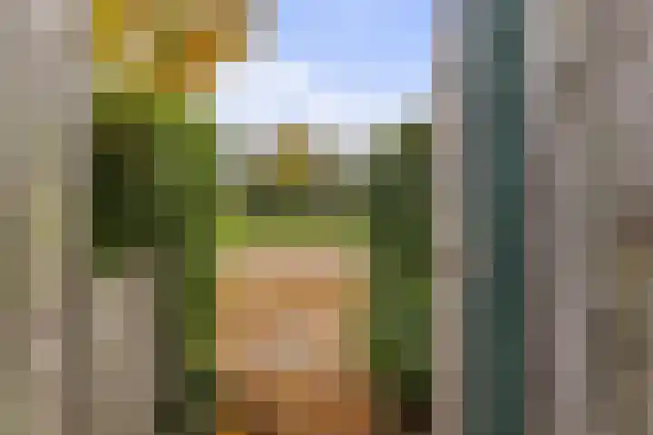 Kamelenspoor 234 Maarssen thumbnail 9