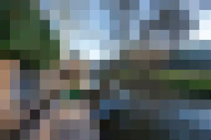 Kamelenspoor 348 Maarssen thumbnail 46