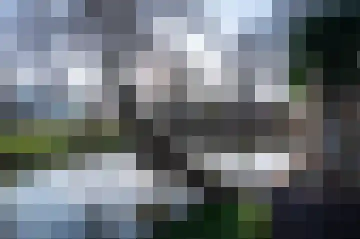 Kamelenspoor 348 Maarssen thumbnail 48