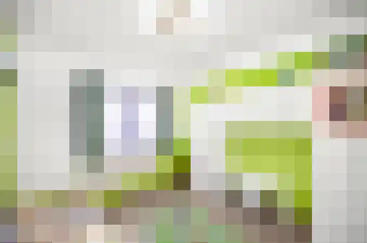 Kamelenspoor 416 Maarssen thumbnail 26