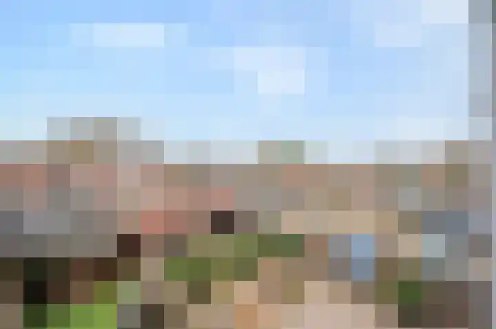Kamelenspoor 416 Maarssen thumbnail 27