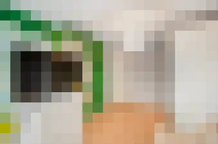 Kamelenspoor 416 Maarssen thumbnail 34