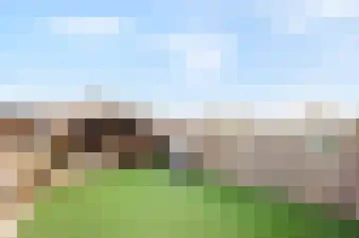 Kamelenspoor 416 Maarssen thumbnail 40