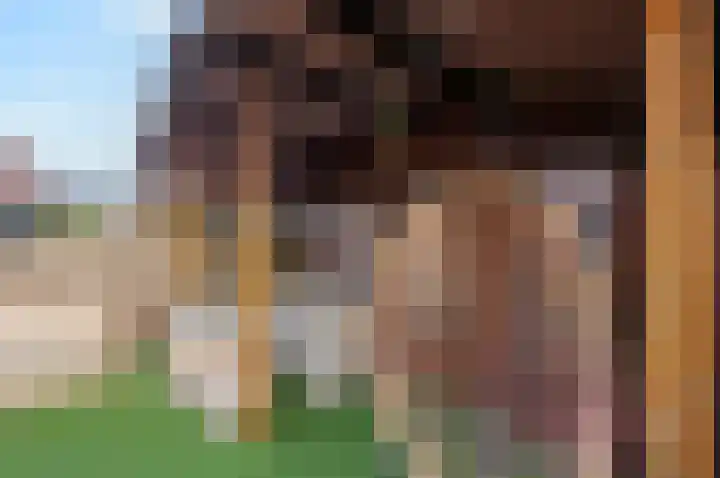 Kamelenspoor 416 Maarssen thumbnail 41