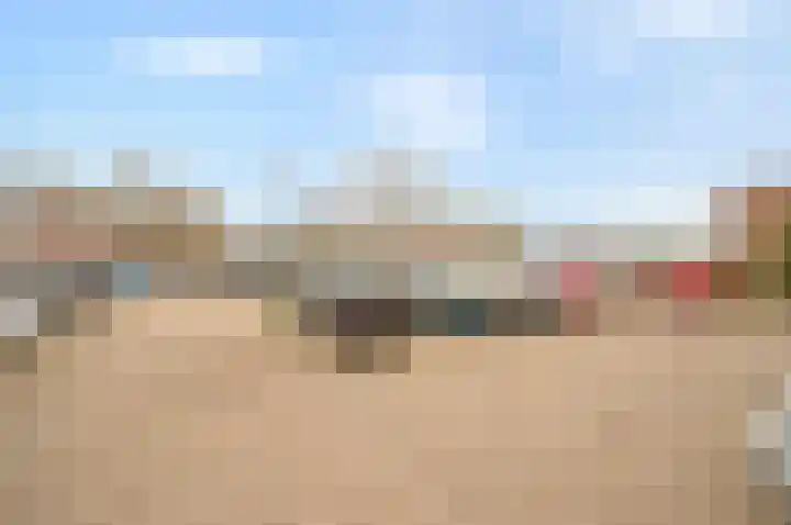 Kamelenspoor 416 Maarssen thumbnail 43