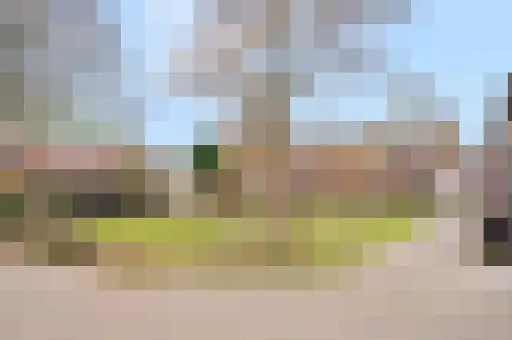 Kamelenspoor 416 Maarssen thumbnail 44