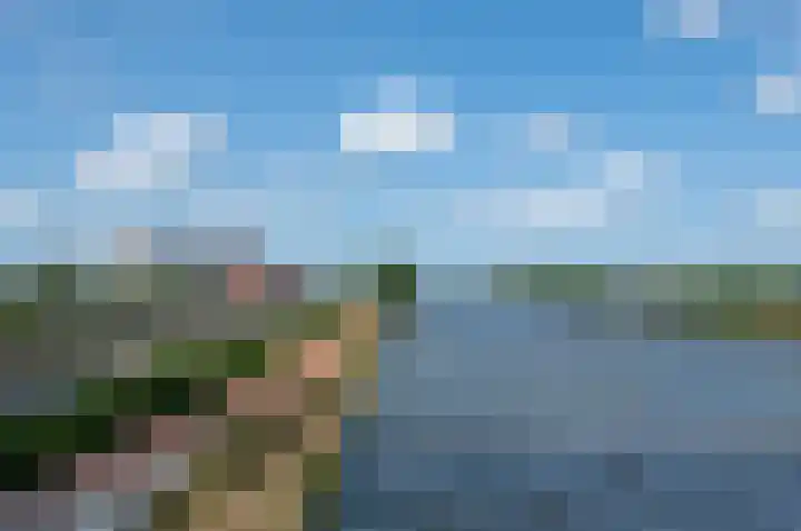 Kamelenspoor 416 Maarssen thumbnail 47