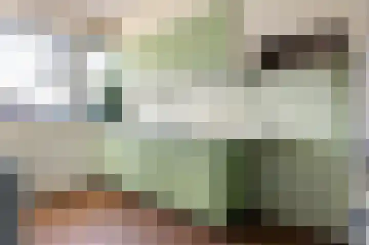 Kamelenspoor 56 Maarssen thumbnail 12