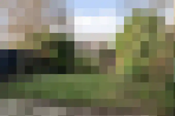 Kamelenspoor 56 Maarssen thumbnail 15