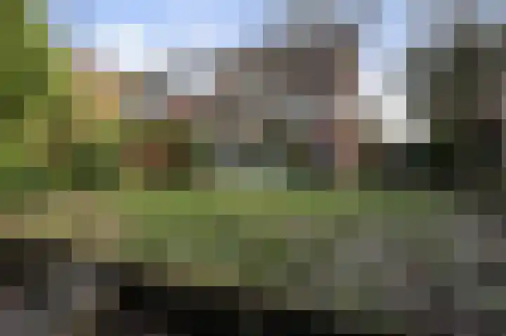 Kamelenspoor 56 Maarssen thumbnail 16