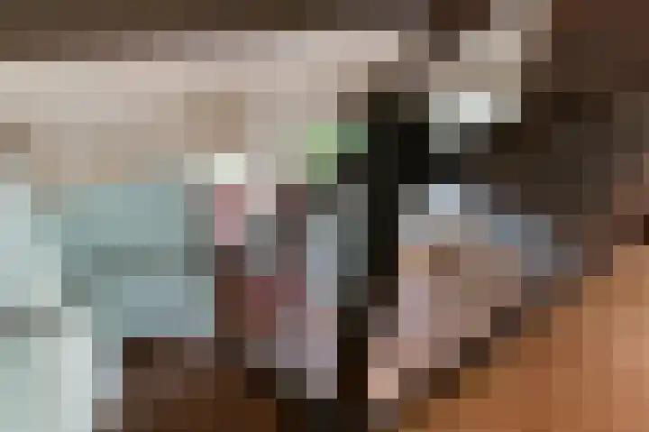 Kamelenspoor 56 Maarssen thumbnail 18
