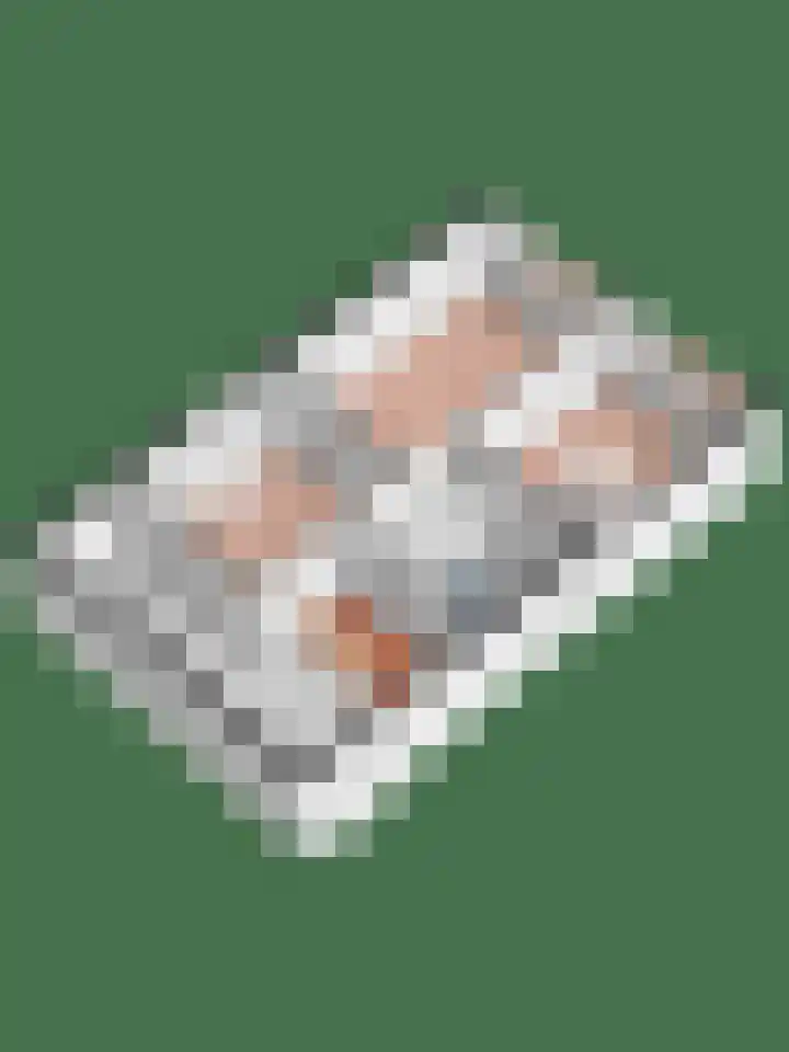 Kamelenspoor 56 Maarssen thumbnail 33