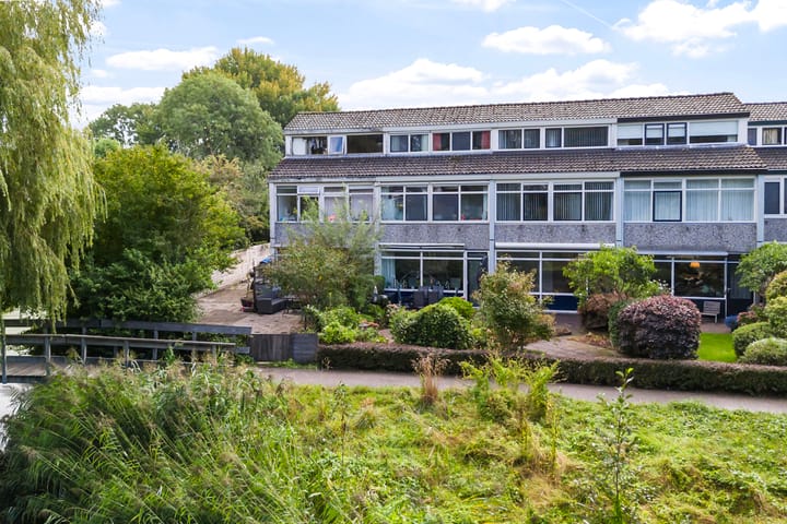 Kamgras 109 in Leeuwarden foto