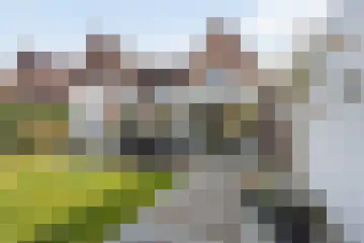 Kamgras 21 Borne thumbnail 18