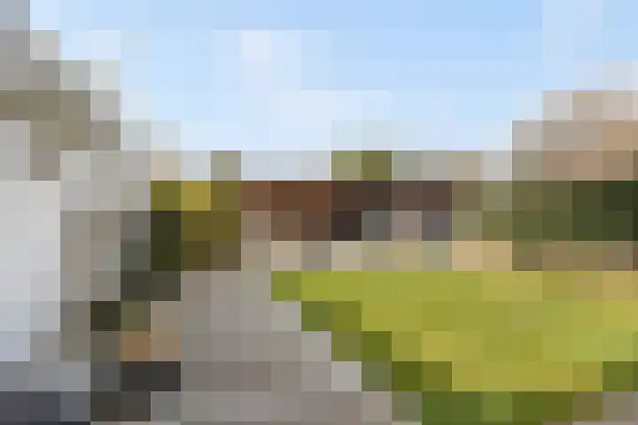 Kamgras 21 Borne thumbnail 19
