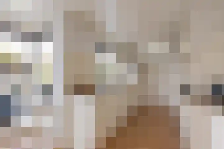 Kamgras 21 Borne thumbnail 9