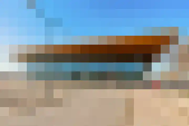Kamgras 29 Lelystad thumbnail 47