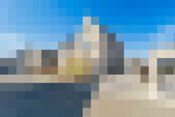 Kamgras 29 Lelystad thumbnail 6