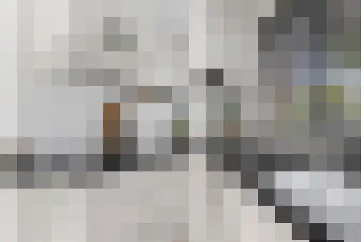 Kamgras 33 Houten thumbnail 15