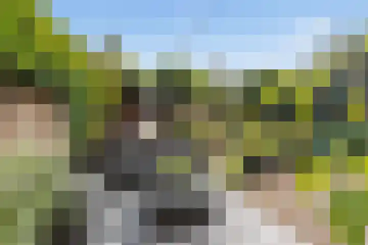 Kamgras 33 Houten thumbnail 17