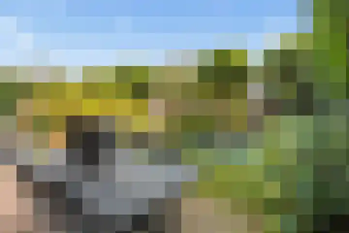 Kamgras 33 Houten thumbnail 20