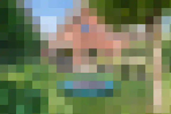 Kamgras 33 Houten thumbnail 22