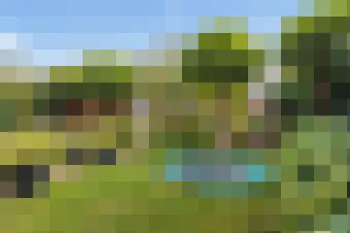 Kamgras 33 Houten thumbnail 23