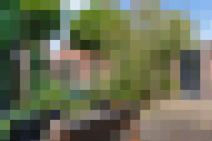 Kamgras 33 Houten thumbnail 25